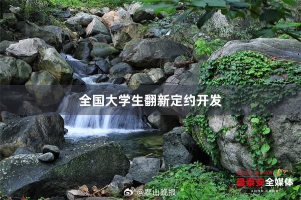 全国大学生翻新定约开发