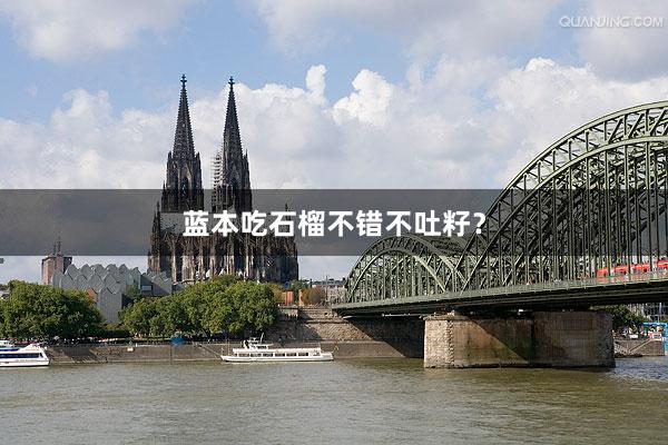 蓝本吃石榴不错不吐籽？
