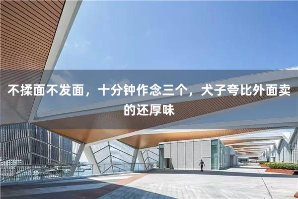 不揉面不发面，十分钟作念三个，犬子夸比外面卖的还厚味