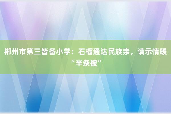 郴州市第三皆备小学：石榴通达民族亲，请示情暖“半条被”