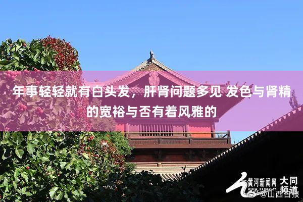 年事轻轻就有白头发，肝肾问题多见 发色与肾精的宽裕与否有着风雅的