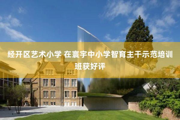 经开区艺术小学 在寰宇中小学智育主干示范培训班获好评