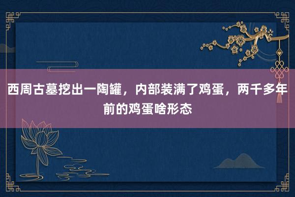 西周古墓挖出一陶罐，内部装满了鸡蛋，两千多年前的鸡蛋啥形态