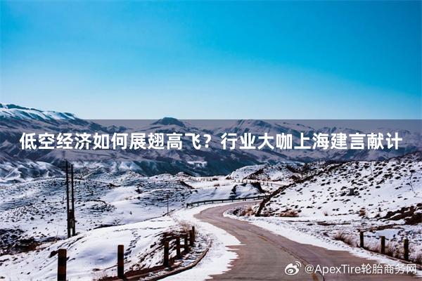 低空经济如何展翅高飞？行业大咖上海建言献计