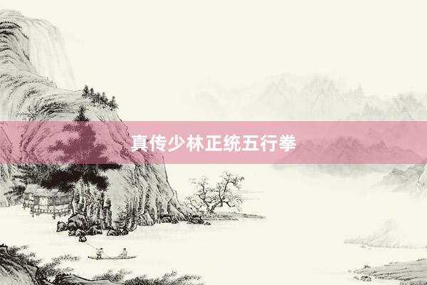 真传少林正统五行拳