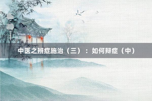 中医之辨症施治（三） ：如何辩症（中）