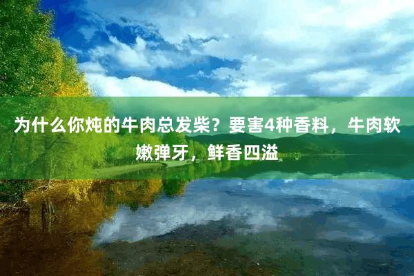 为什么你炖的牛肉总发柴？要害4种香料，牛肉软嫩弹牙，鲜香四溢