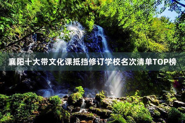襄阳十大带文化课抵挡修订学校名次清单TOP榜