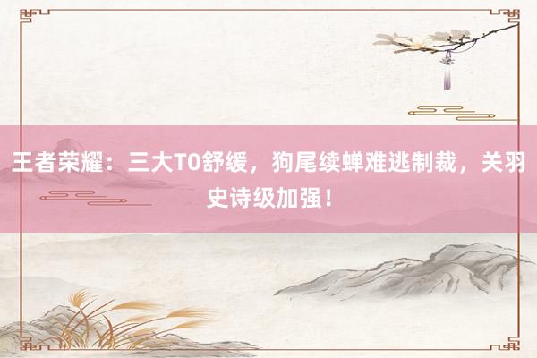 王者荣耀：三大T0舒缓，狗尾续蝉难逃制裁，关羽史诗级加强！