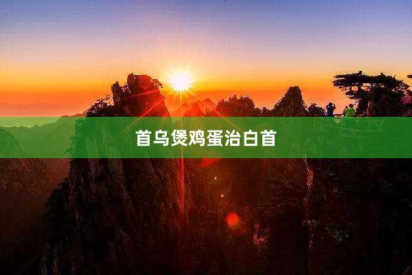 首乌煲鸡蛋治白首