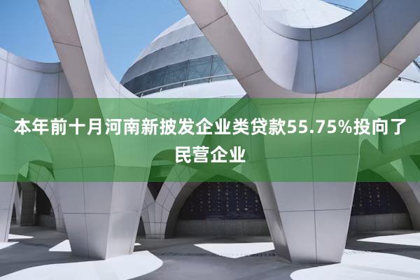 本年前十月河南新披发企业类贷款55.75%投向了民营企业