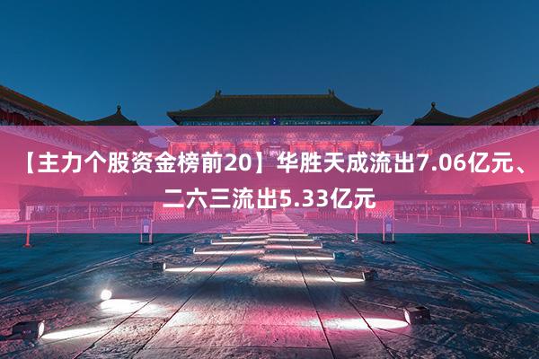 【主力个股资金榜前20】华胜天成流出7.06亿元、二六三流出5.33亿元
