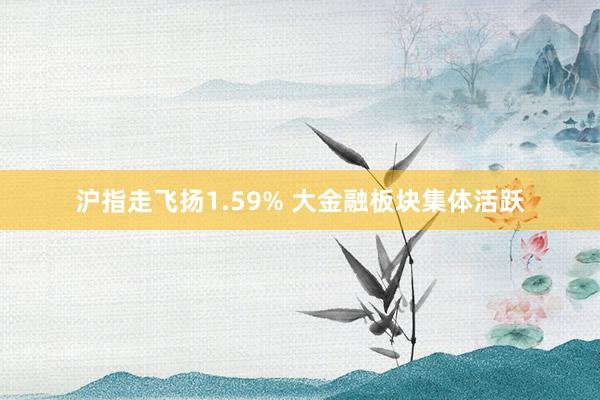 沪指走飞扬1.59% 大金融板块集体活跃