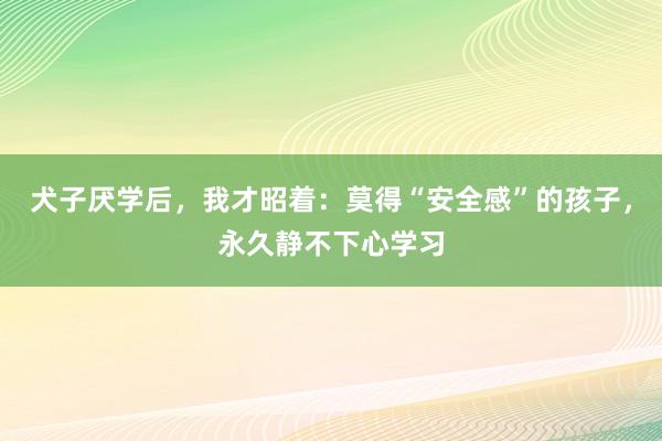 犬子厌学后，我才昭着：莫得“安全感”的孩子，永久静不下心学习