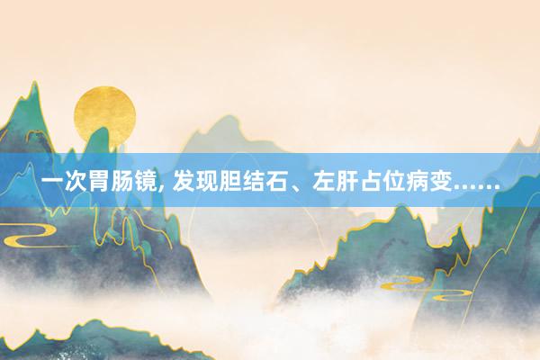 一次胃肠镜, 发现胆结石、左肝占位病变......