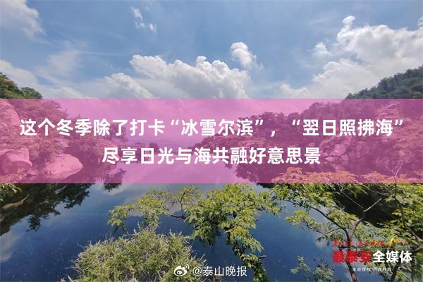 这个冬季除了打卡“冰雪尔滨”，“翌日照拂海”尽享日光与海共融好意思景