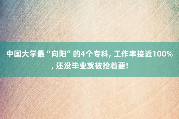 中国大学最“向阳”的4个专科, 工作率接近100%, 还没毕业就被抢着要!