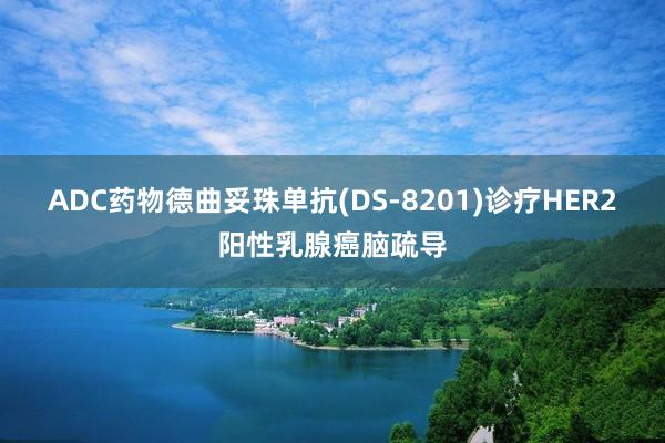 ADC药物德曲妥珠单抗(DS-8201)诊疗HER2阳性乳腺癌脑疏导