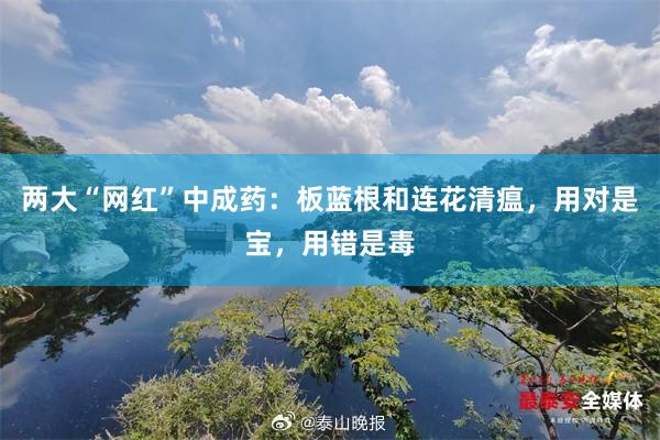 两大“网红”中成药：板蓝根和连花清瘟，用对是宝，用错是毒
