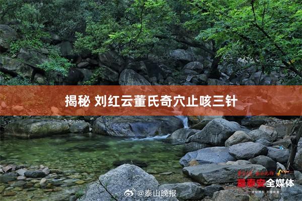 揭秘 刘红云董氏奇穴止咳三针
