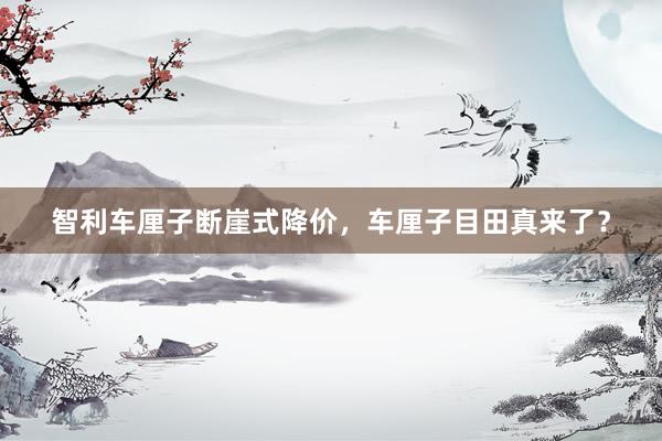 智利车厘子断崖式降价，车厘子目田真来了？
